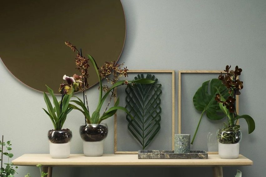 samozavlazovaci kvetinac