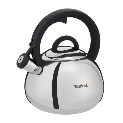 Varná konvice DUETTO+ 2,5 l, stříbrná, nerezová ocel, Tefal