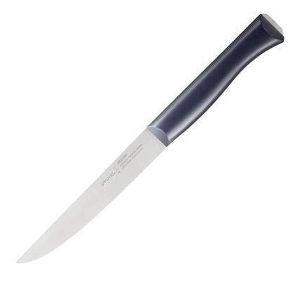 Nůž na maso N°220 INTEMPORA 16 cm, modrá, POM, Opinel