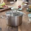 Hrnec VISEO 24 cm, 5,7 l, nerez, Fissler