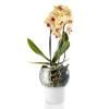 Samozavlažovací květináč 15 cm, na orchideje, sklo, Eva Solo