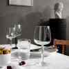 Sklenice na červené víno HAMMERSHOI 490 ml, sada 2 ks, čirá, Kähler