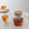 Čajová konvice INFUSION 1 l, čirá, sklo, Viva Scandinavia