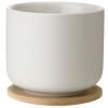 Šálek s podšálkem THEO 200 ml, písková, Stelton