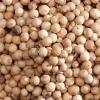 pic list 5 MM12257 5710175122579 MillMortar