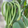pic list 5 MM12210 5710175122104 MillMortar