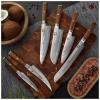 Kuchařský nůž SOK COCOBOLO WHITE DAMASCUS 15 cm, hnědá, Dellinger